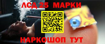 индика Пенза
