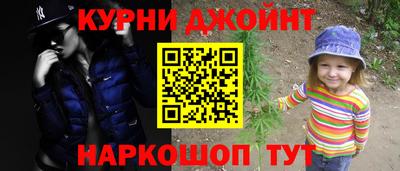 индика Пенза