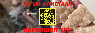 индика Пенза