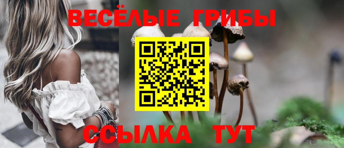 Псилоцибиновые грибы мухоморы Советский